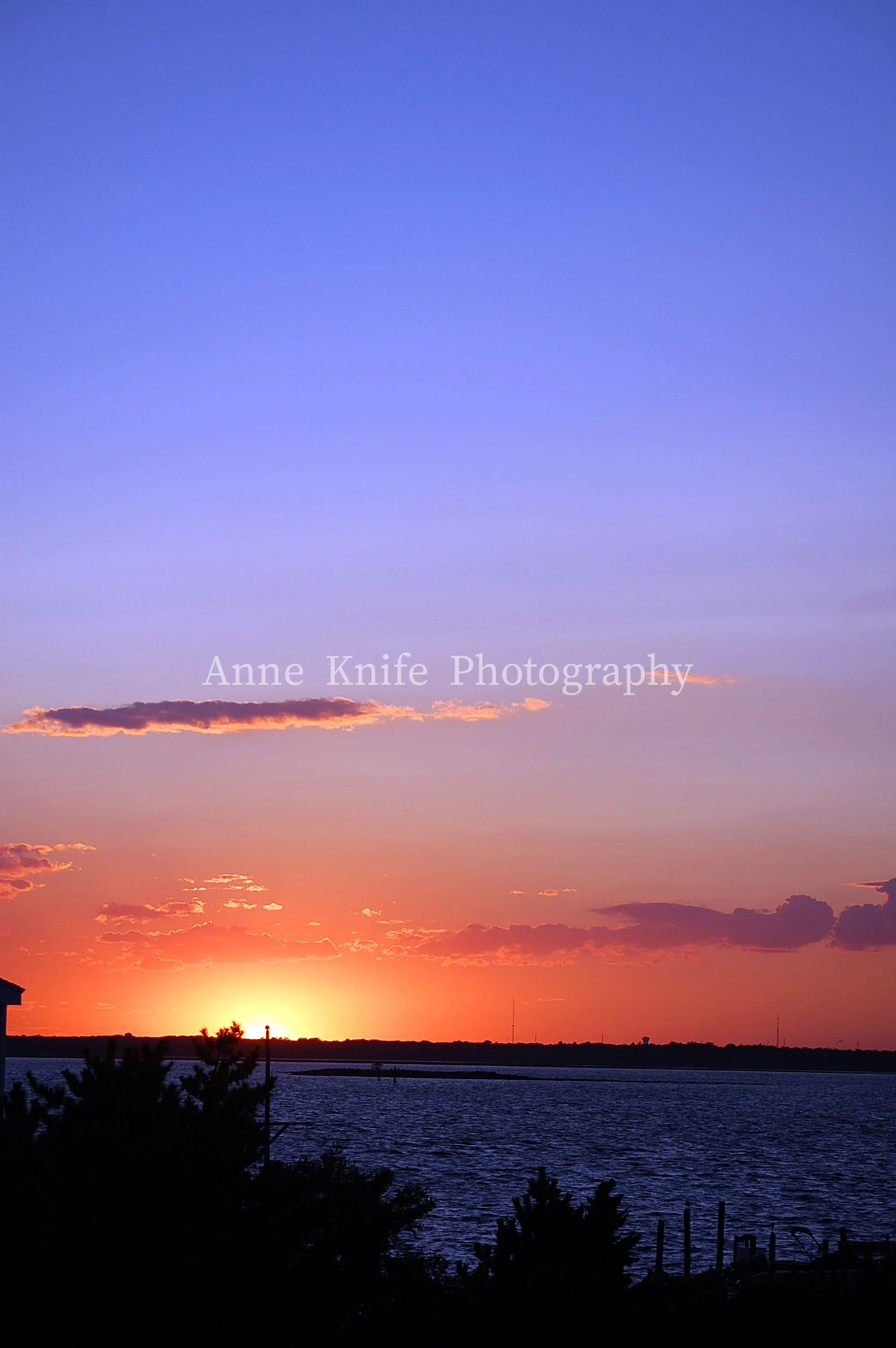 DSC_1066-watermarked.jpg