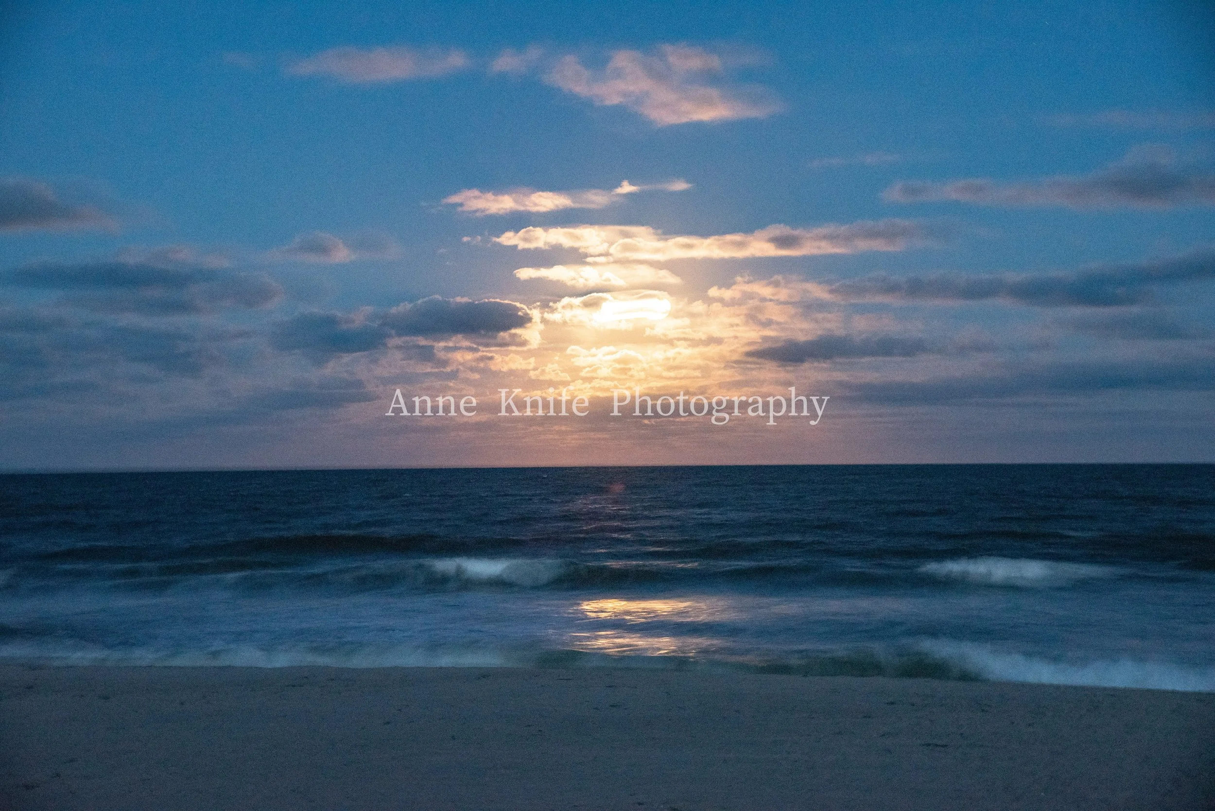 DSC_6237-watermarked.jpg
