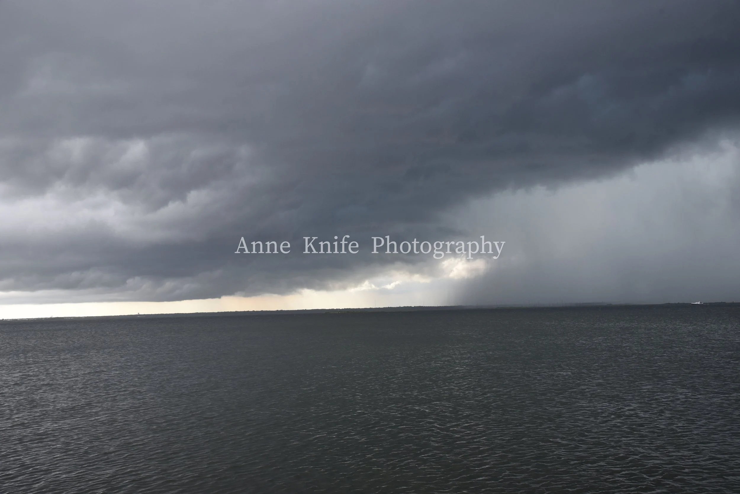 DSC_8699-watermarked.jpg