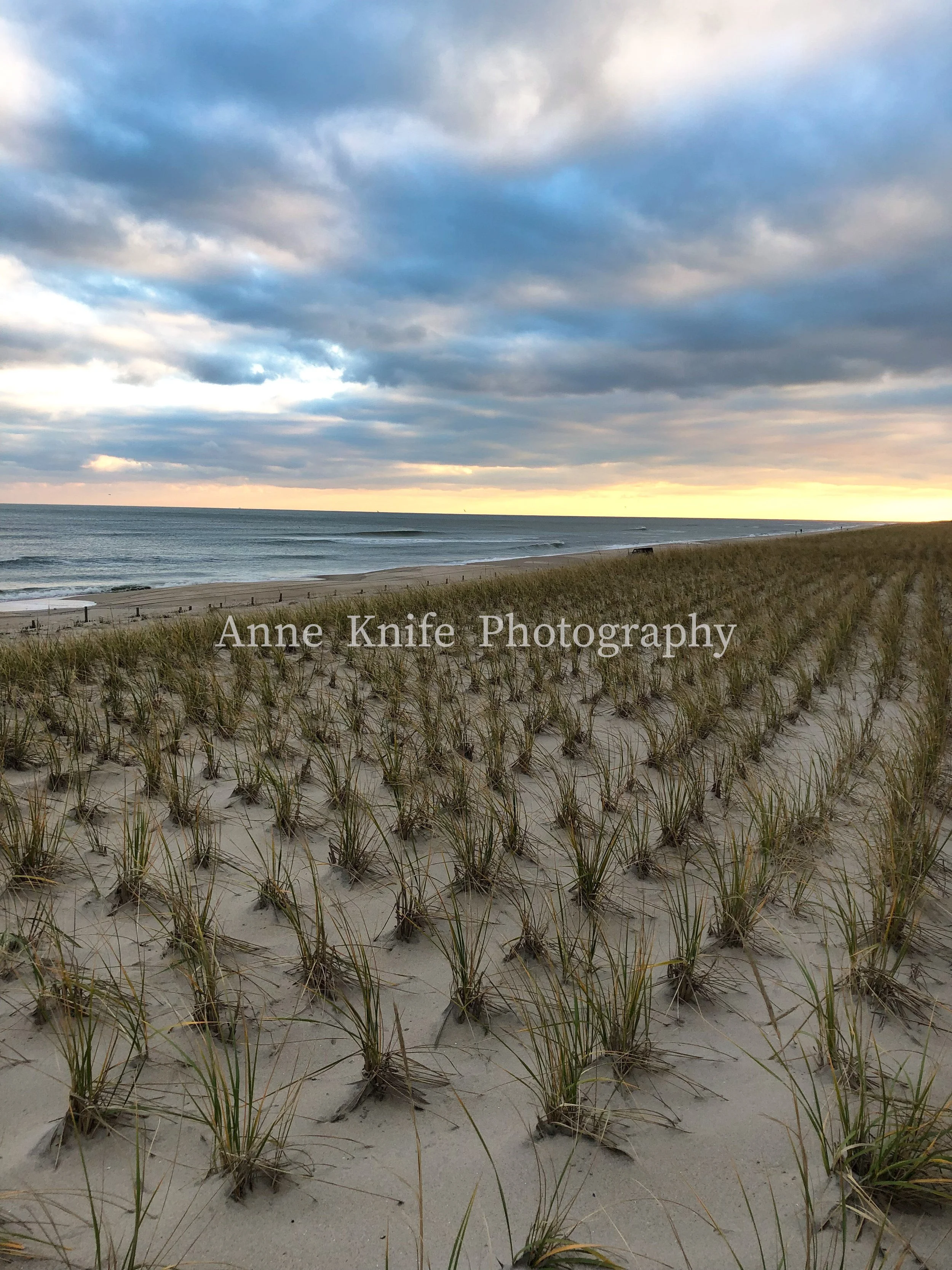 IMG_2911-Edit-watermarked.jpg