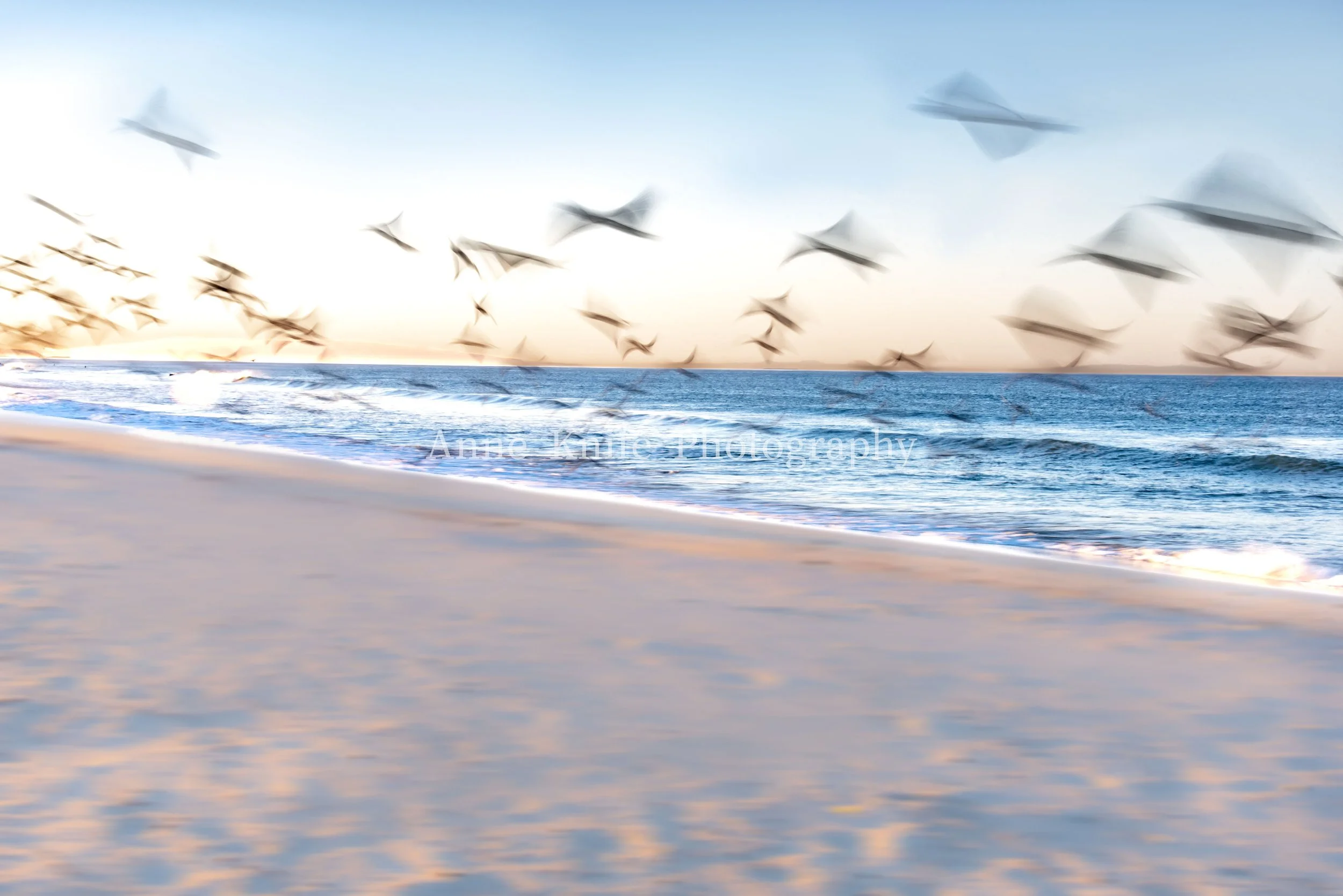 In Flight 1-watermarked.jpg