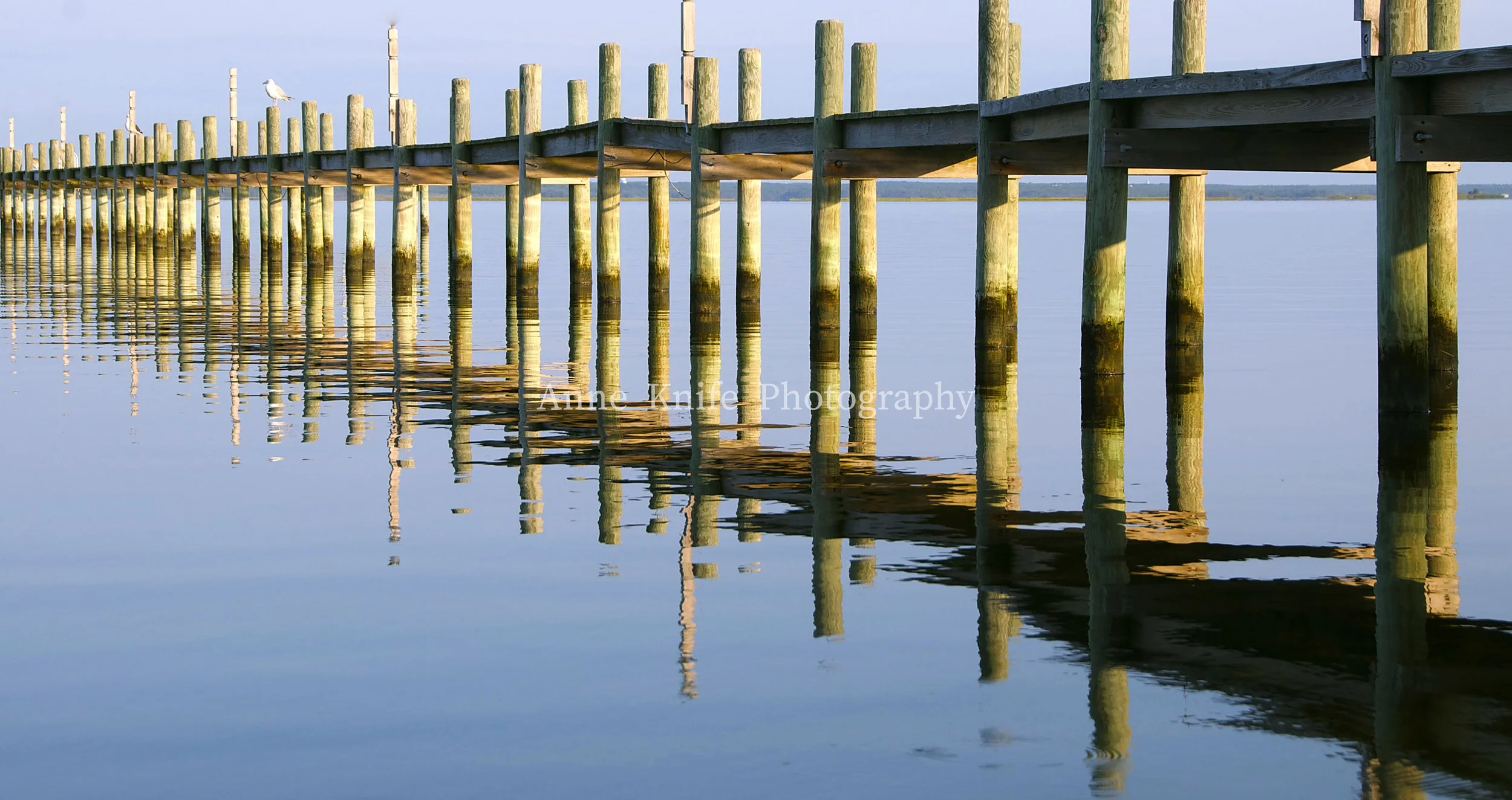 Morning Dock 1-watermarked.jpg