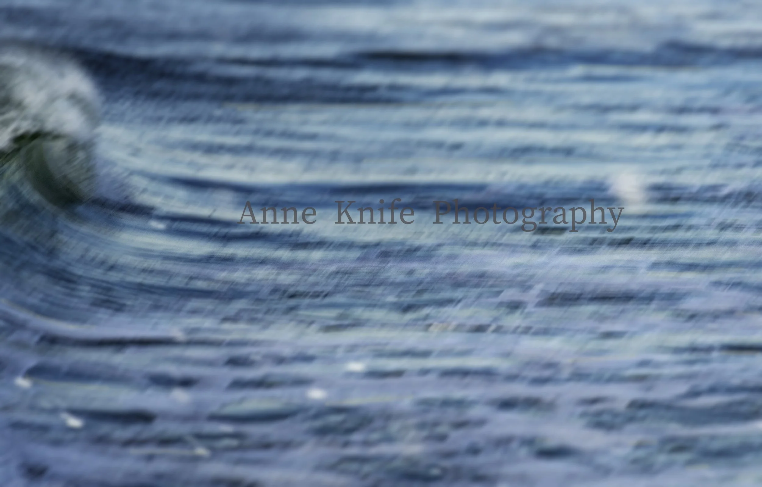 Jane Watermarked copy.jpg