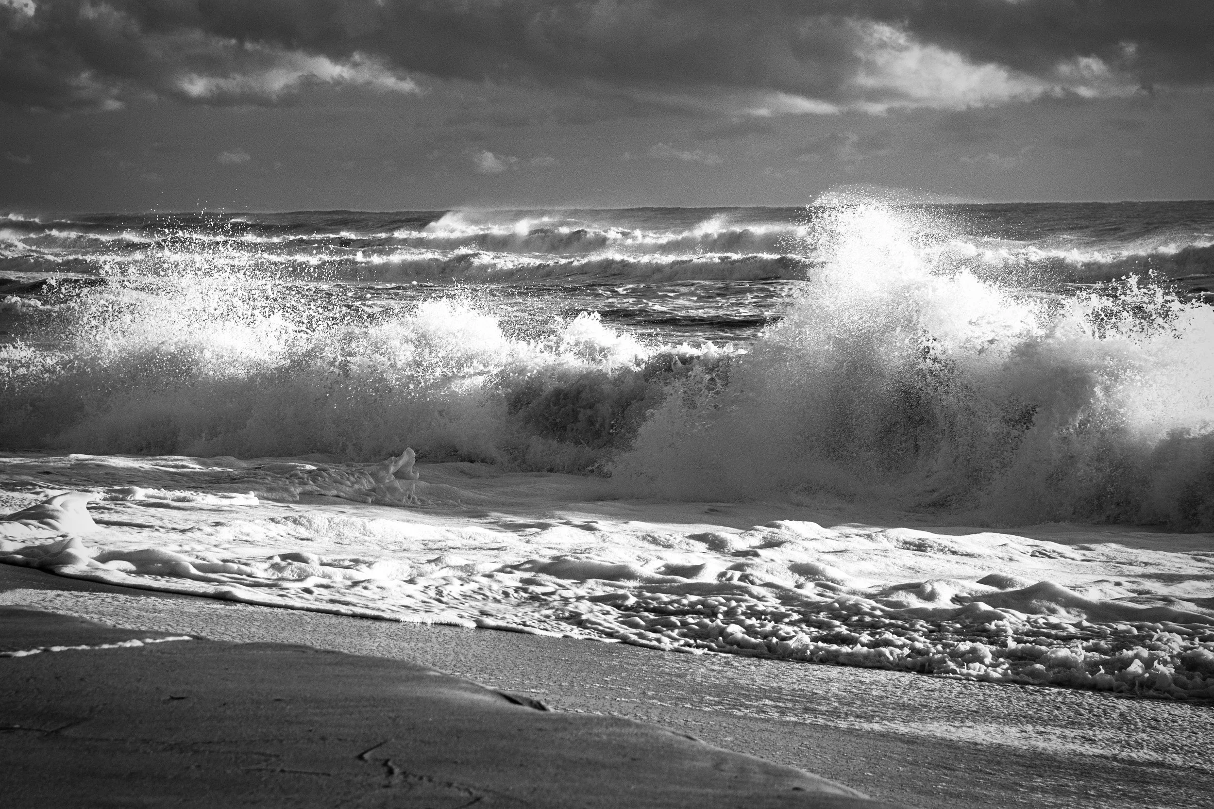 The Roll Black and White.jpg