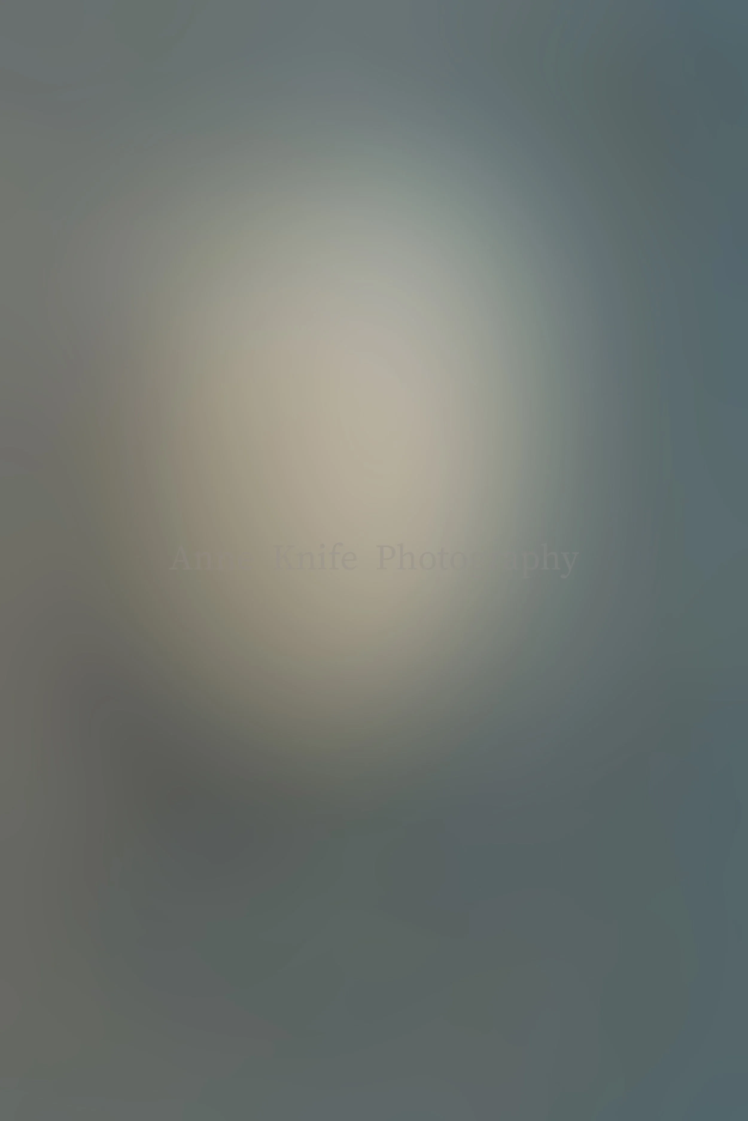 January 1 watermarked copy.jpg