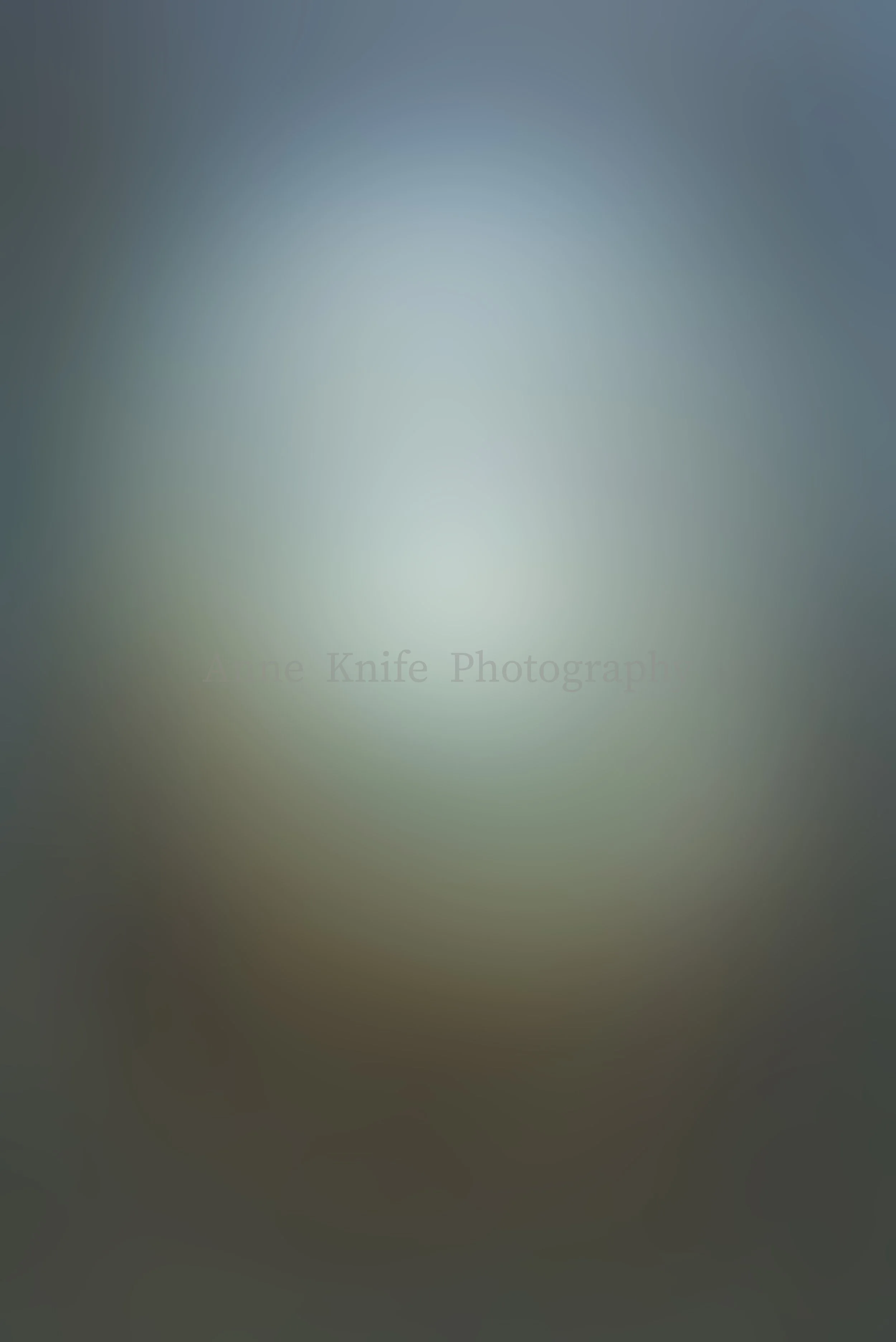 May 1 Watermarked copy.jpg