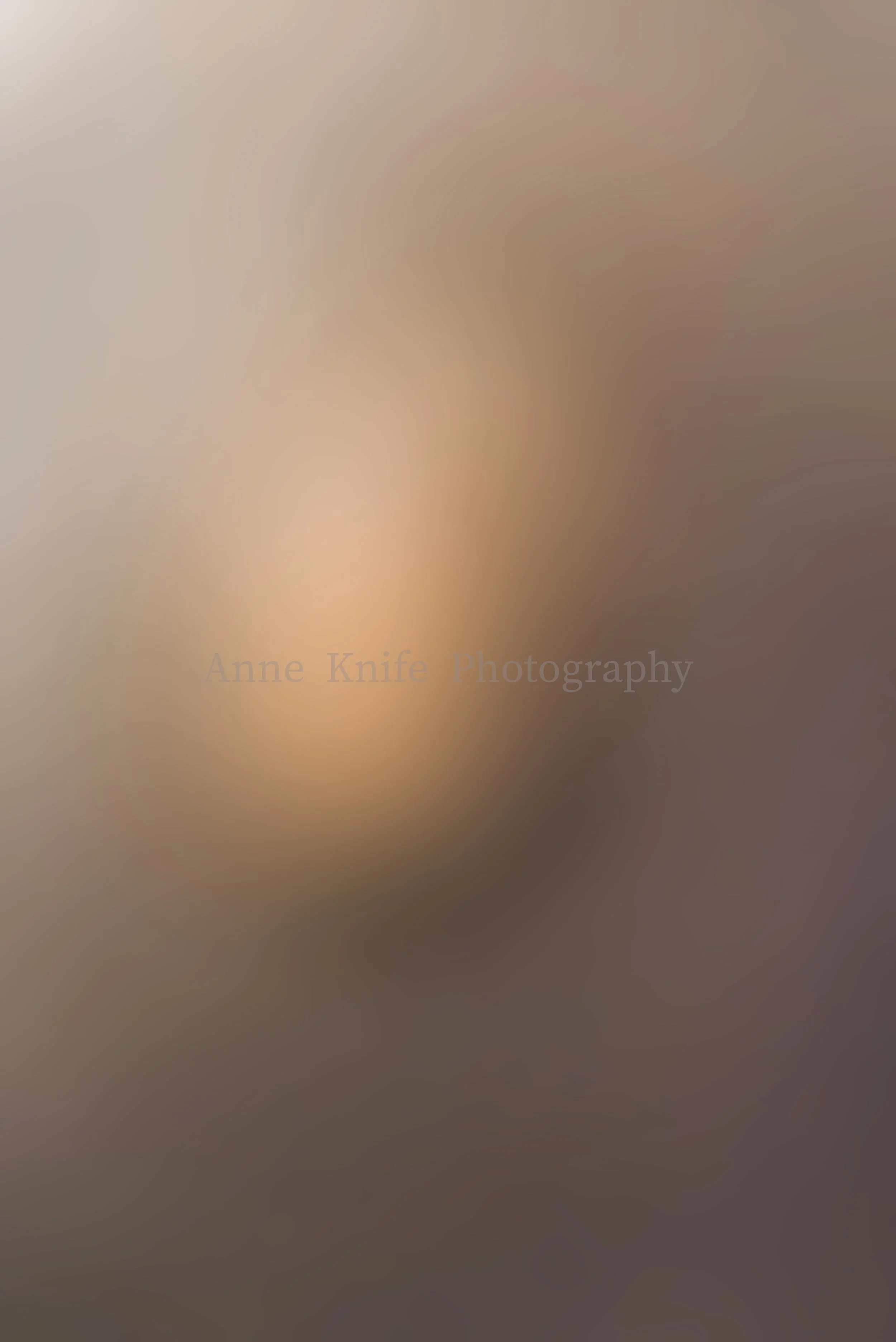 NOVEMBER 1 watermarked copy.jpg