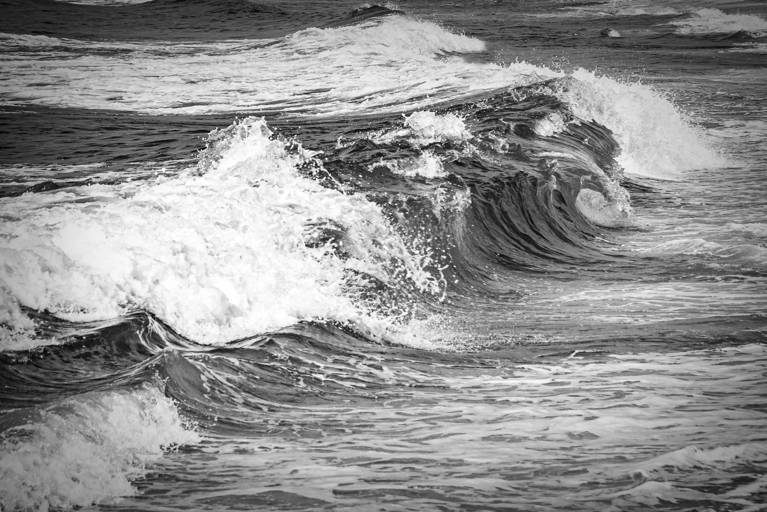 TIGER WAVE blnwhtcopy.jpg