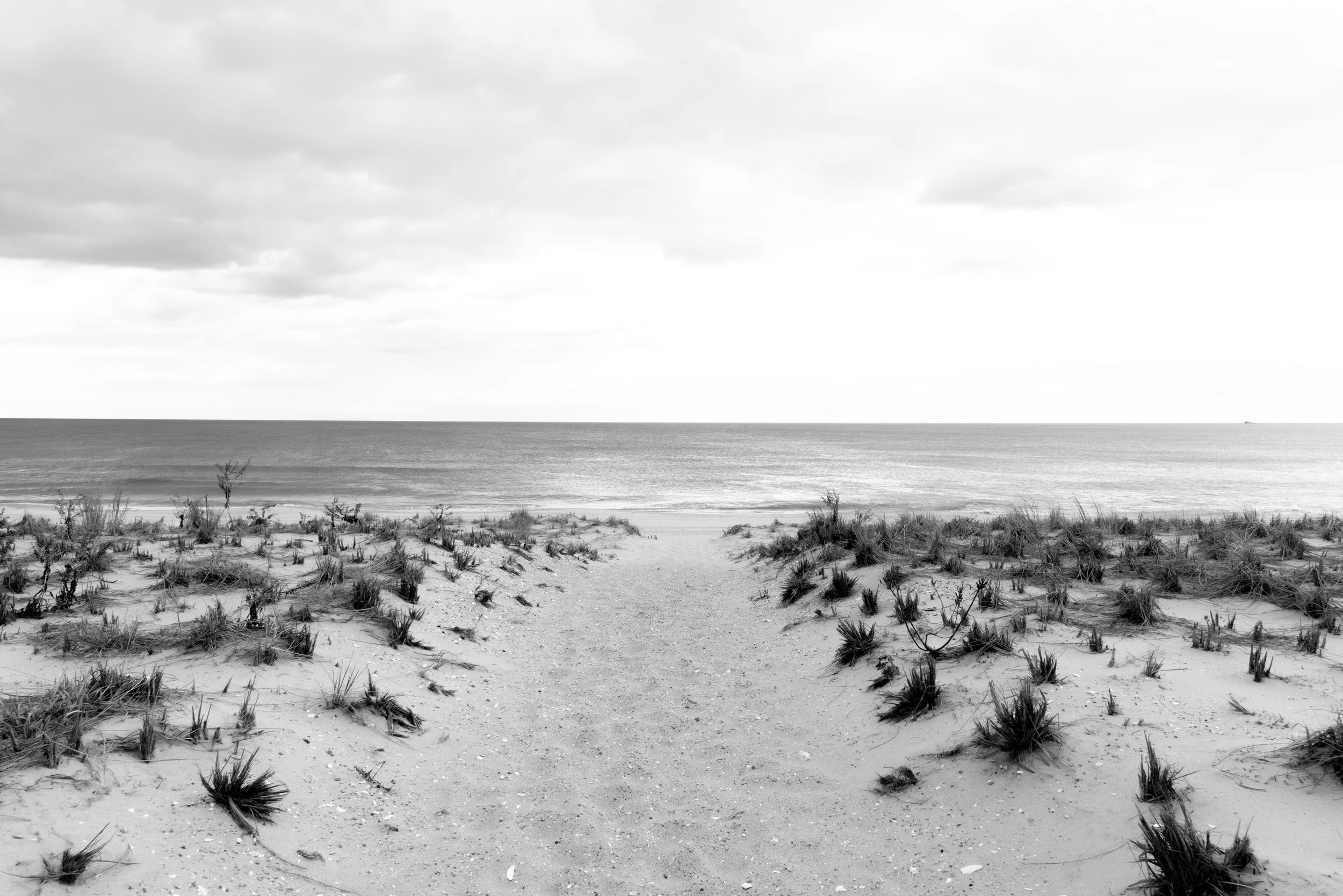 Beach Walk Blnwht.jpg