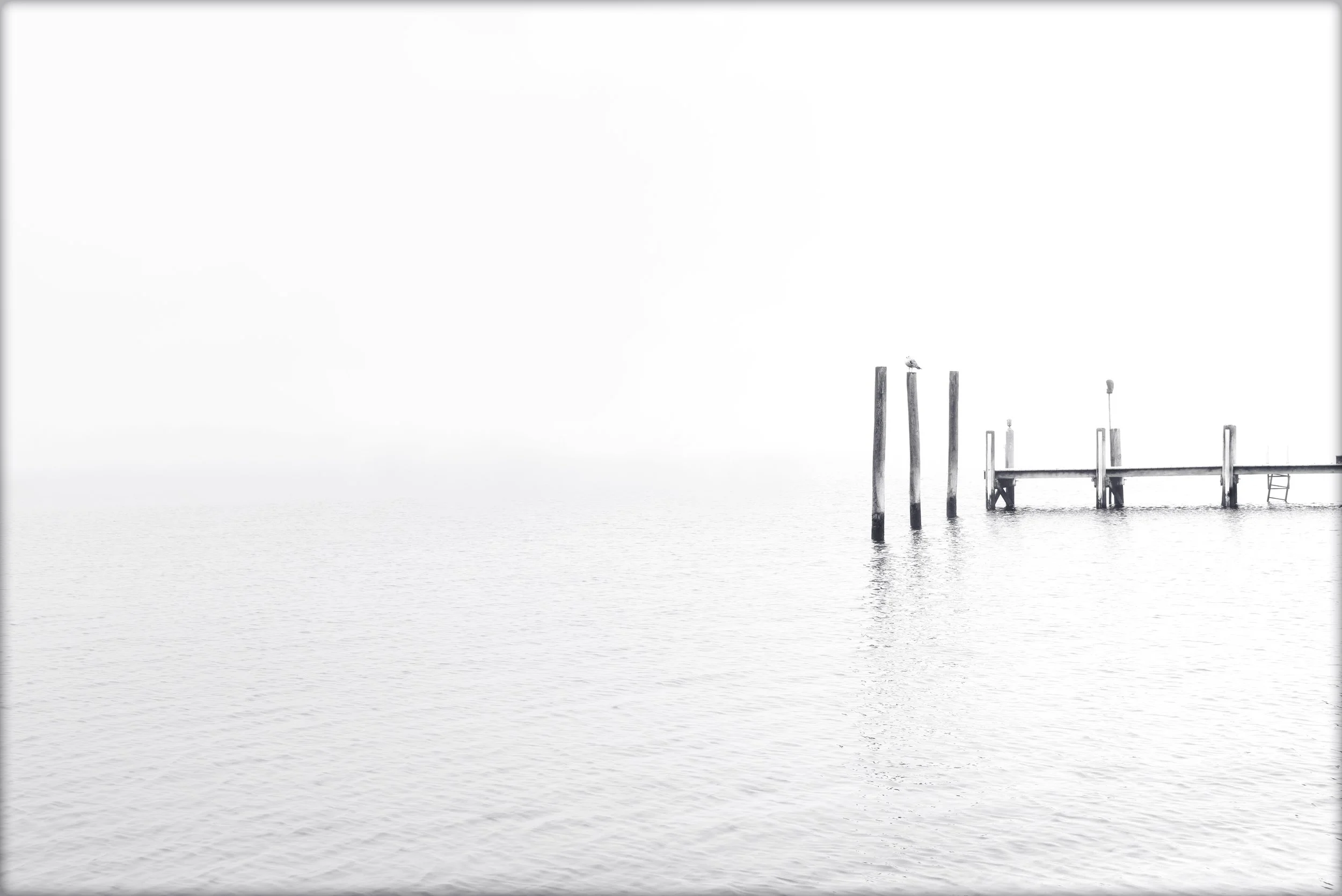 April Fog bl n wht.jpg