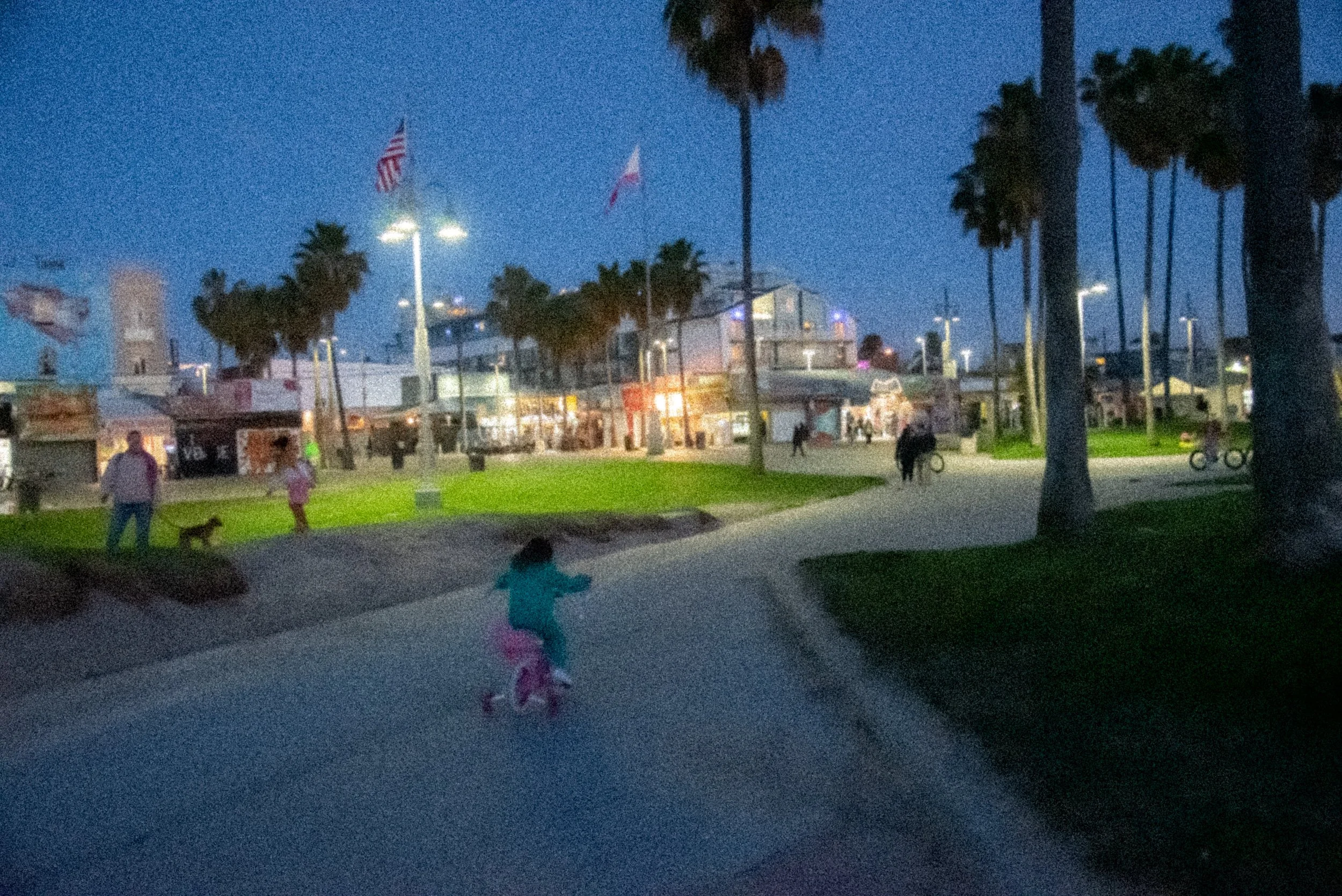 DSC_3683.jpg
