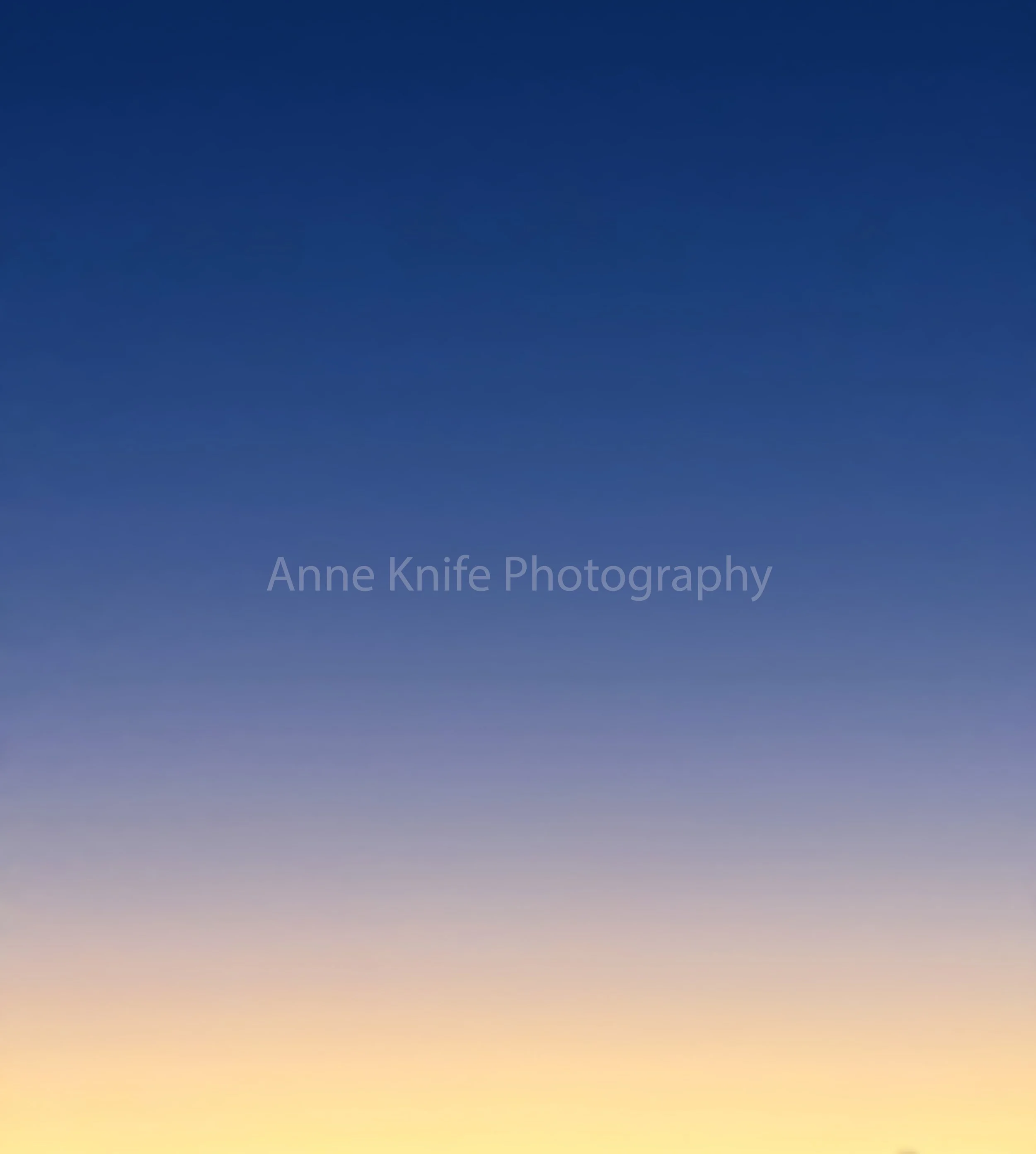 Watermarked Florida Sky copy.jpg