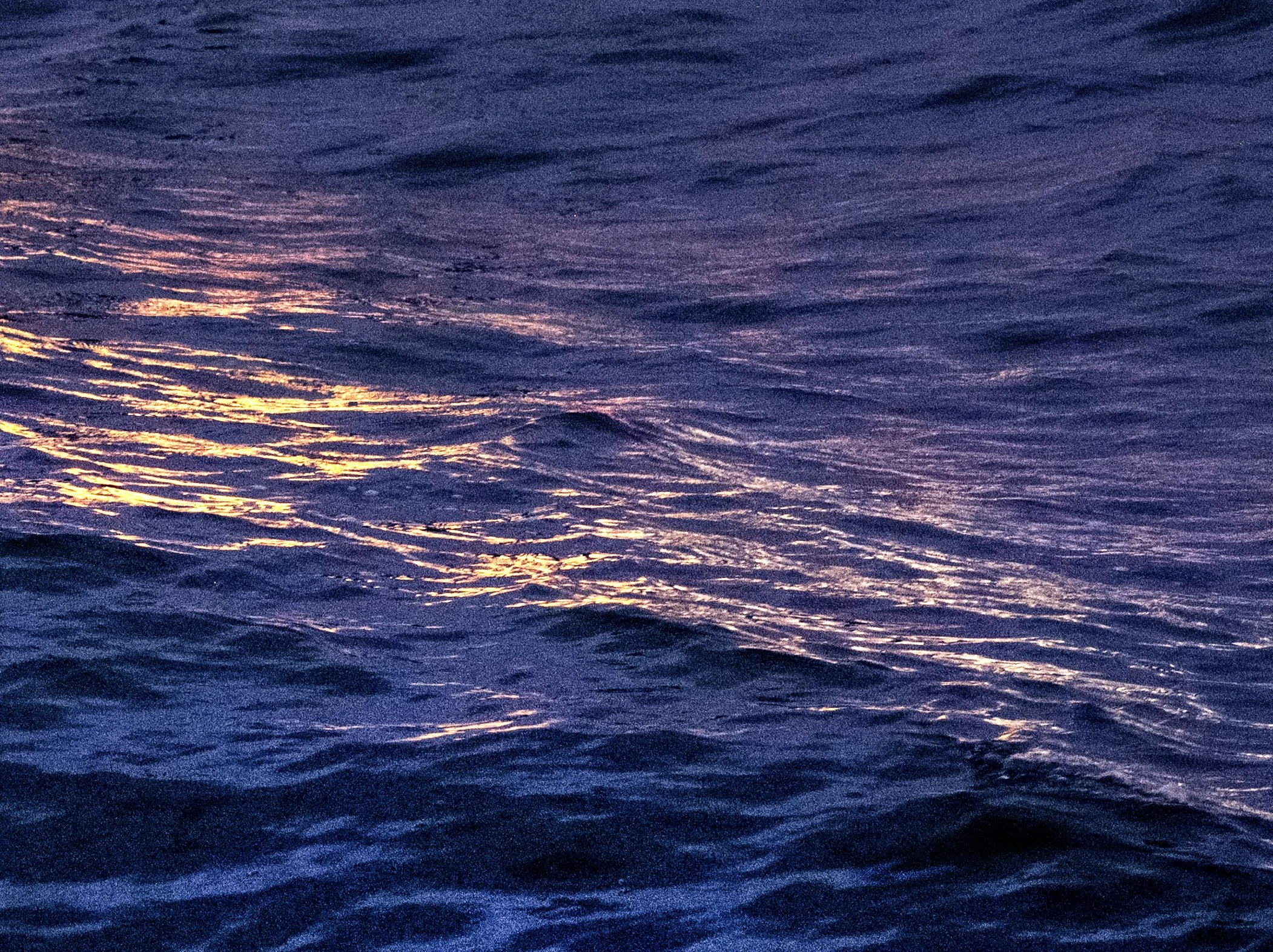 Pink reflections.jpg