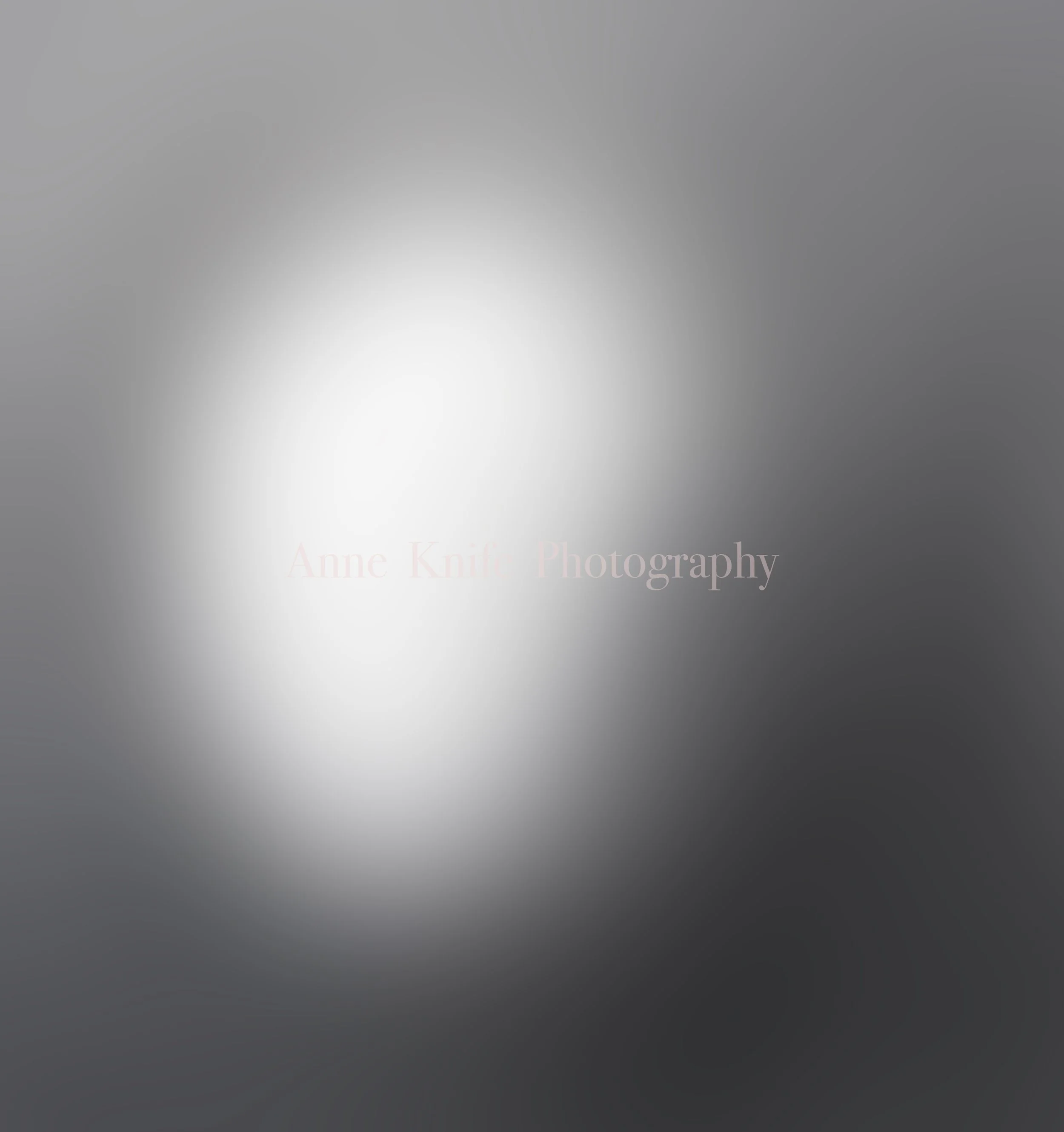 Watermarked Sun Series 10 copy.jpg
