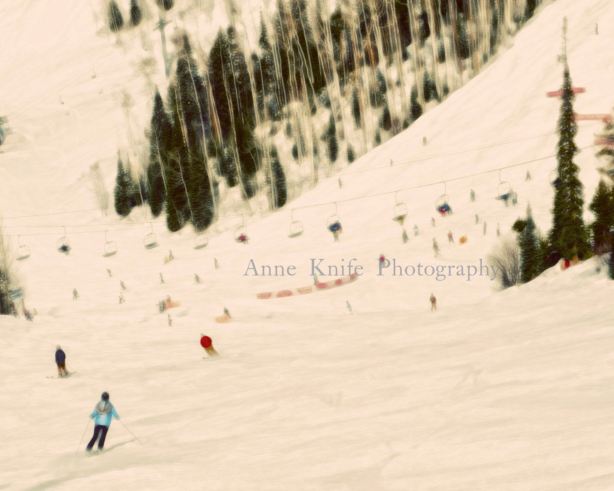 watermarked Family Day copy.jpg