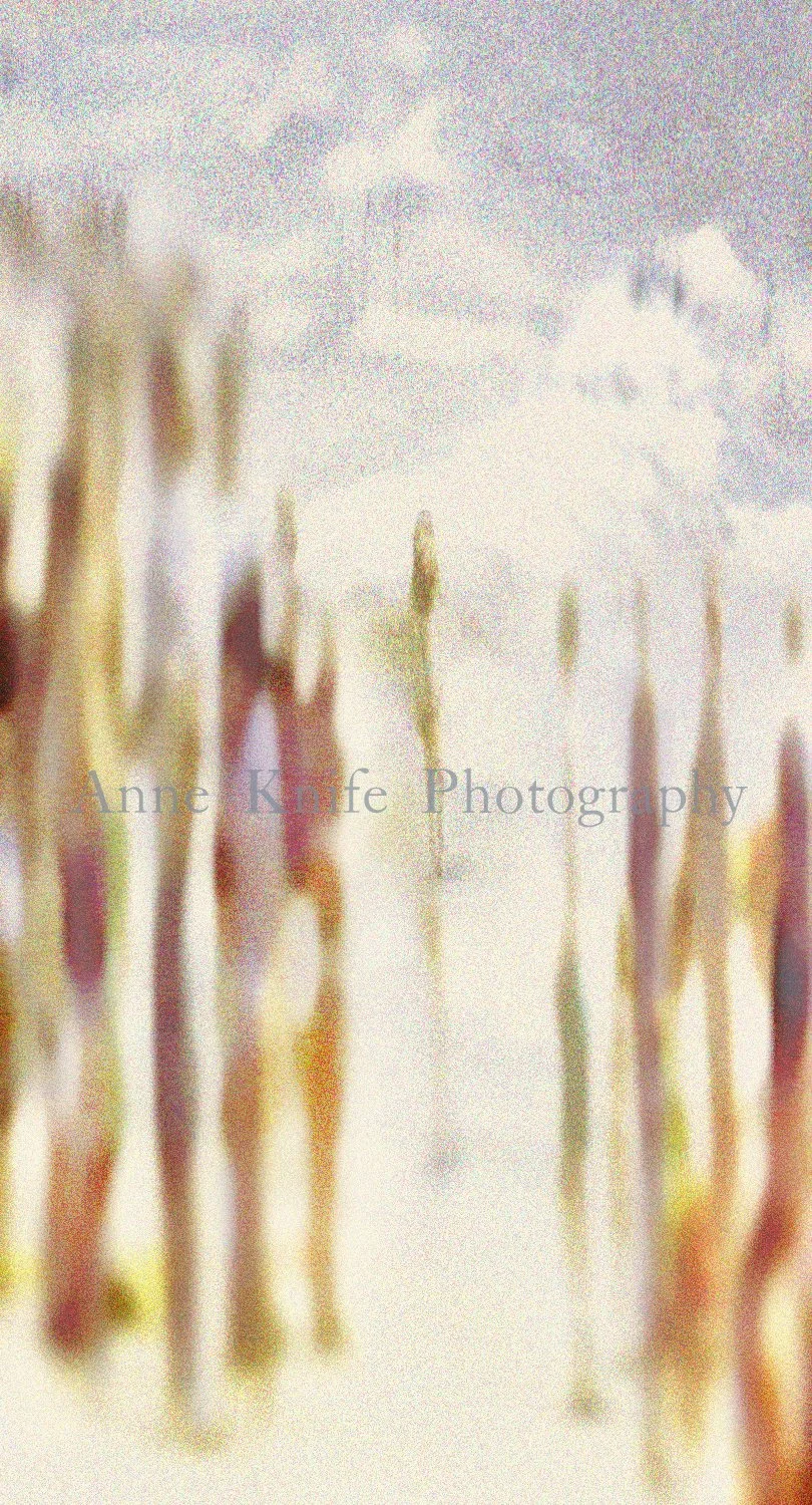 Watermarked The Long Summer 1 copy.jpg