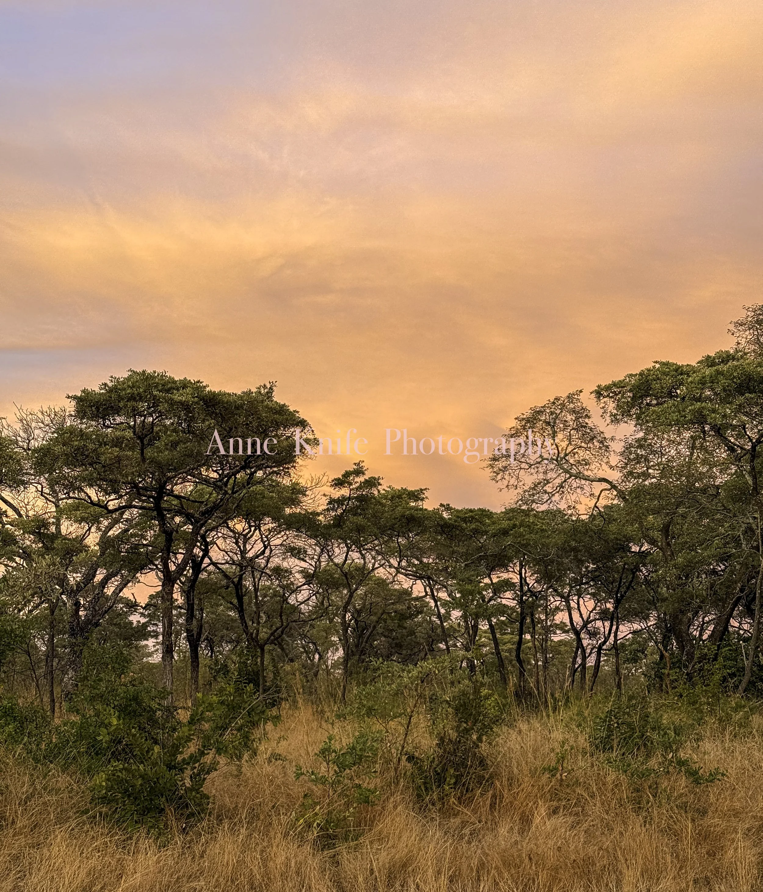 Water African Sunset.jpg