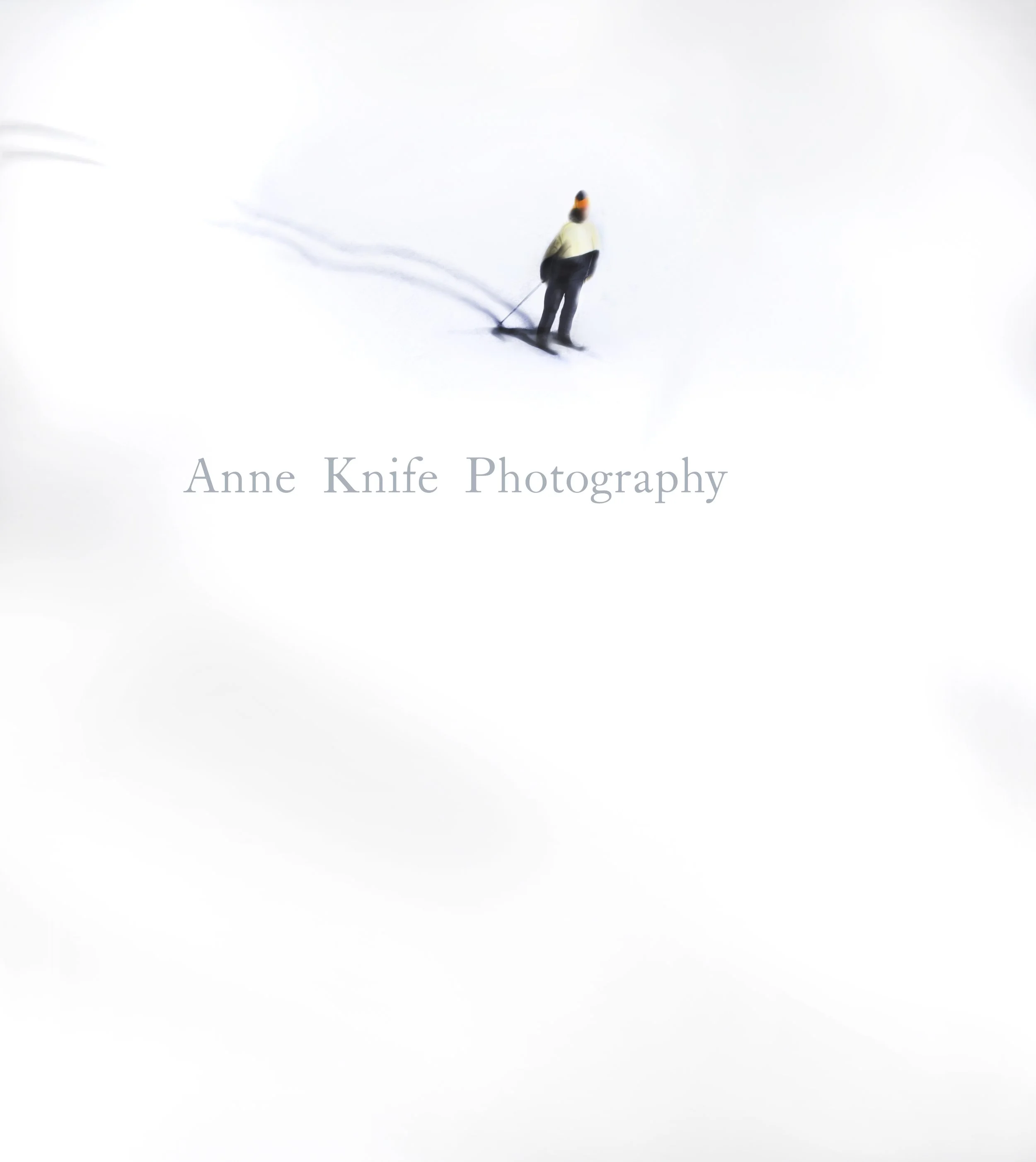 watermarked Yellow Solo tracks 1 copy.jpg