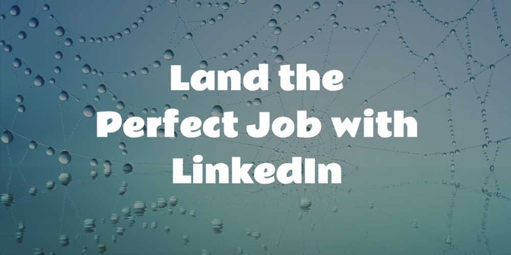 Land the Perfect Job with LinkedIn