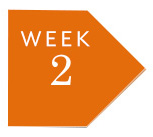 week-2.jpg