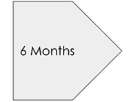 6 months.png