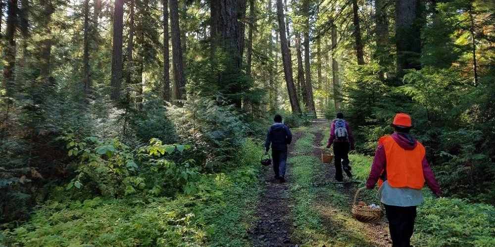 Sunriver Mushroom Field Trip