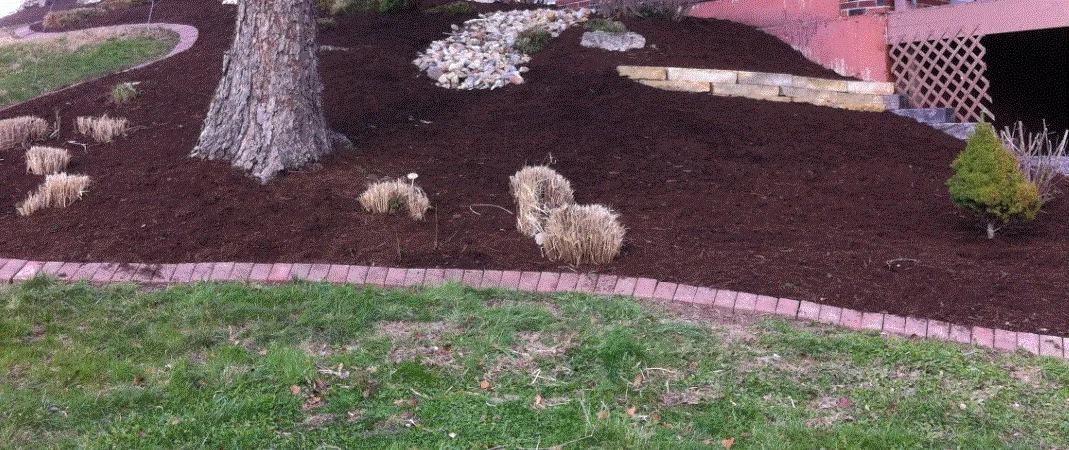 Premium Shredded-Brown Mulch Picture 1.jpg