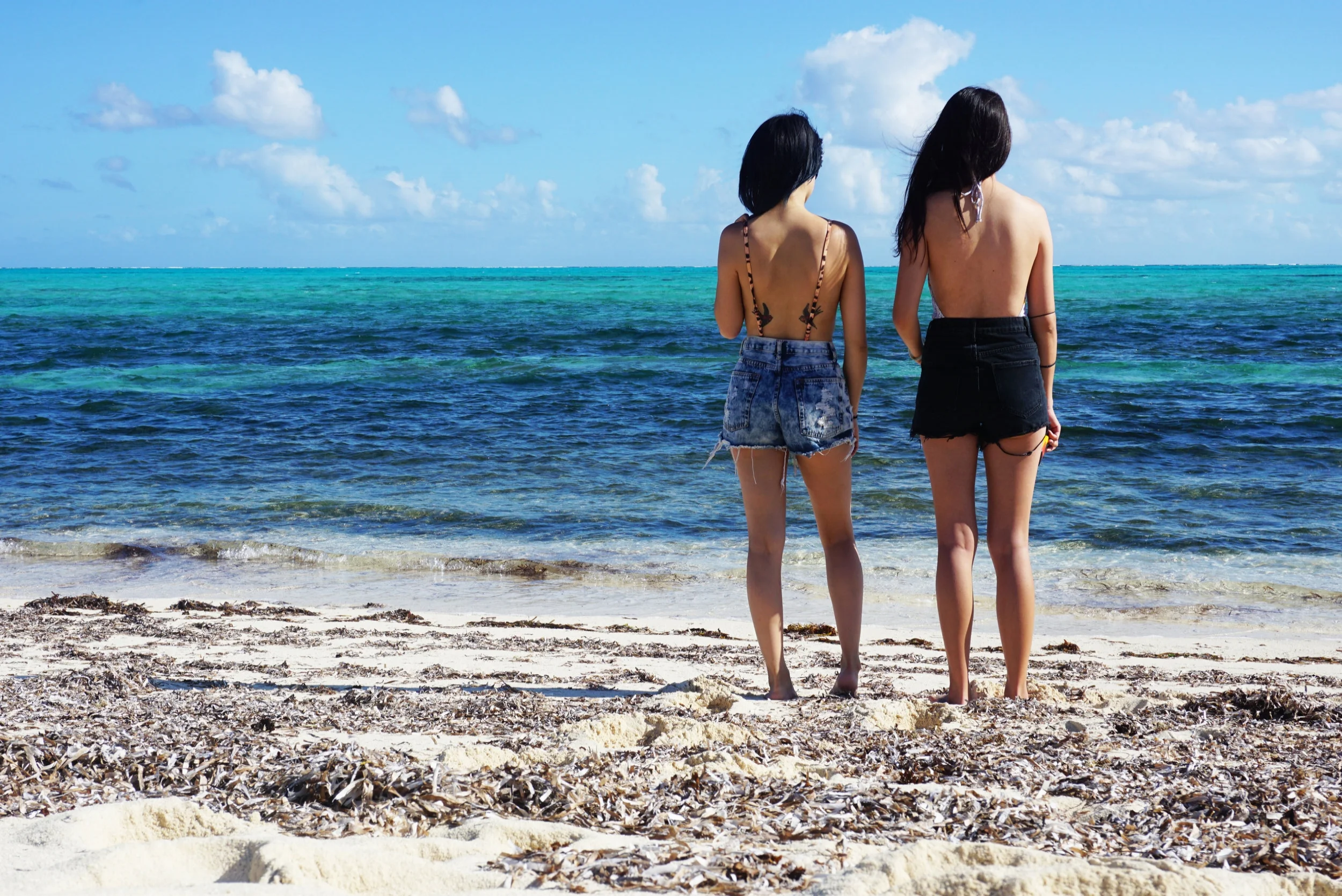 2017-01-19 Providenciales, Turks & Caicos Islands