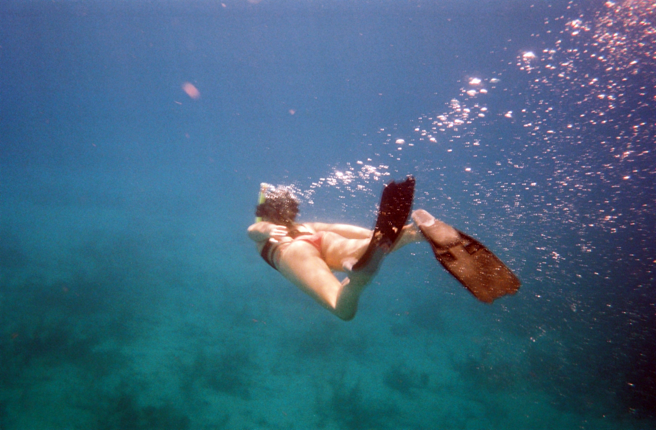 Snorkeling the drop off