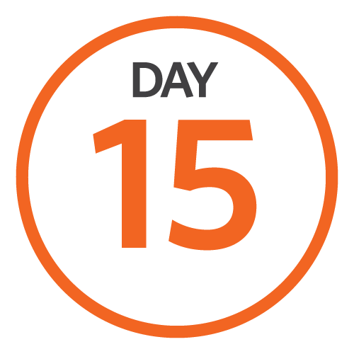 Day15_Image.png