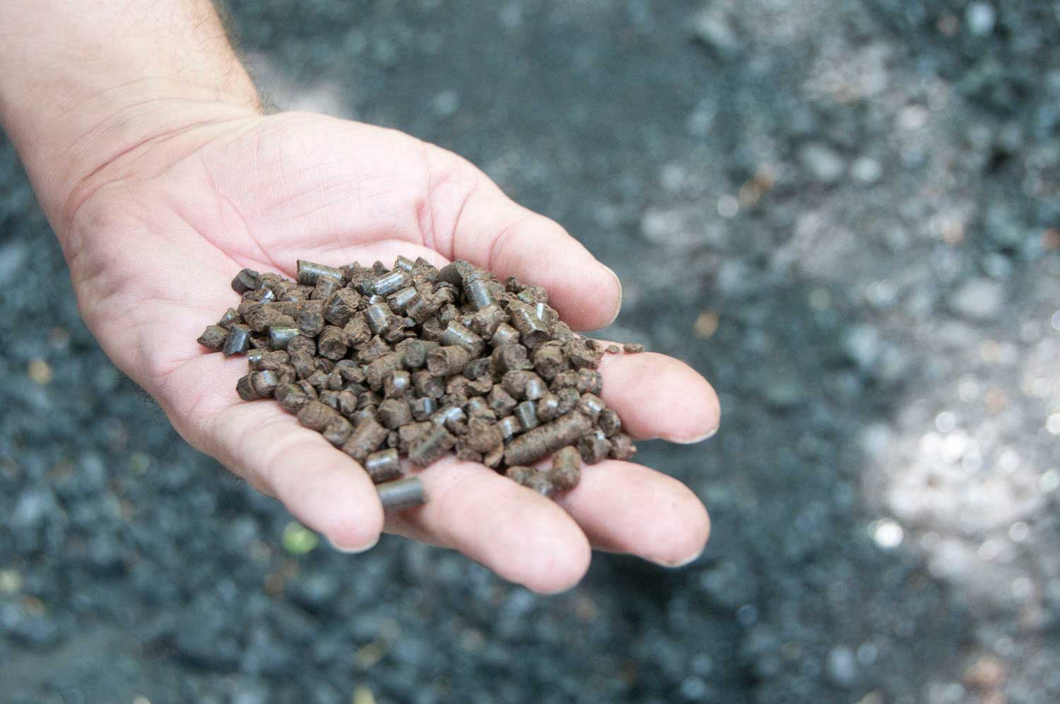 Torrefied biomass pellets used in the testing.
