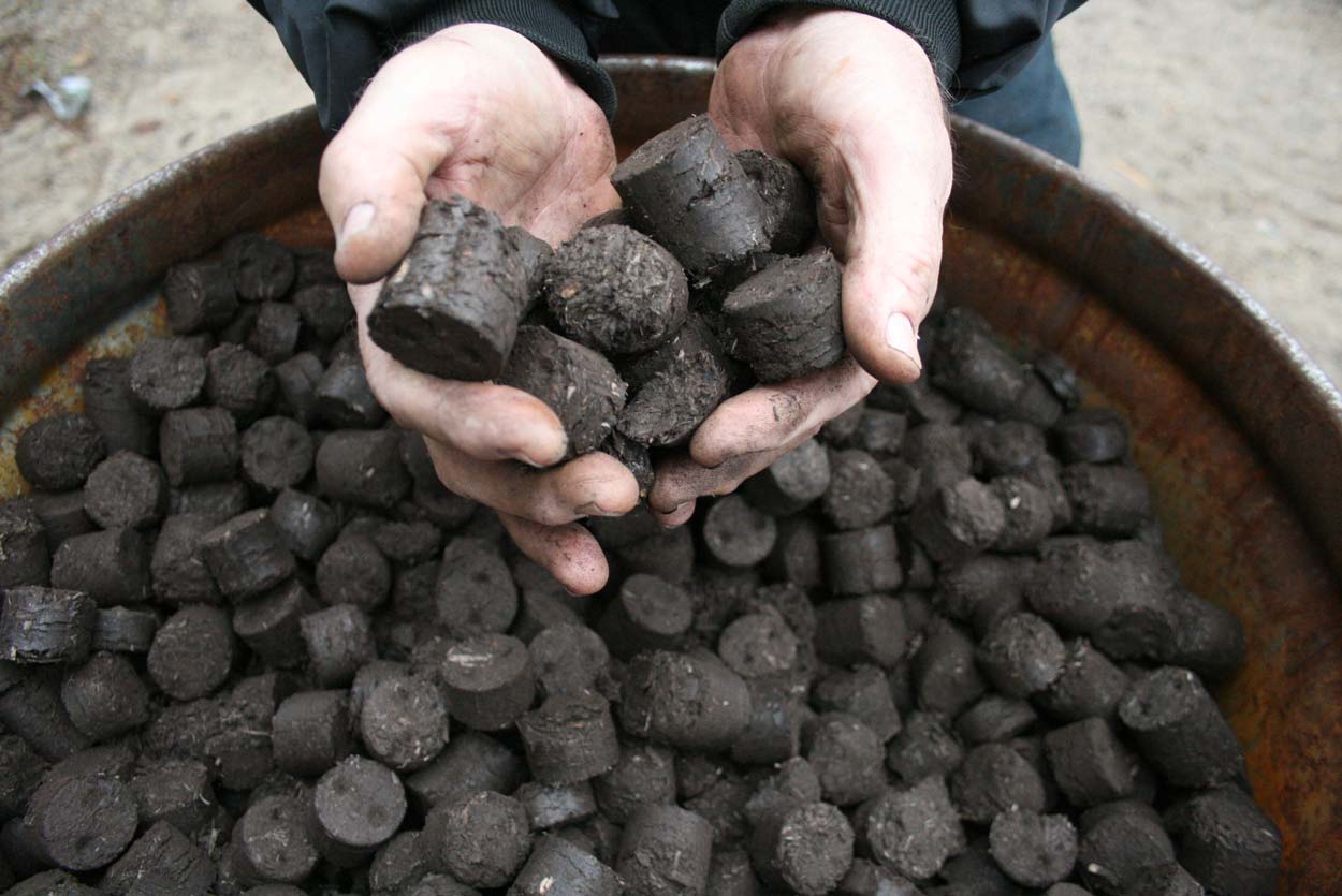 Larger, "stoker coal-sized" torrefied biomass pellets. NRRI Photo