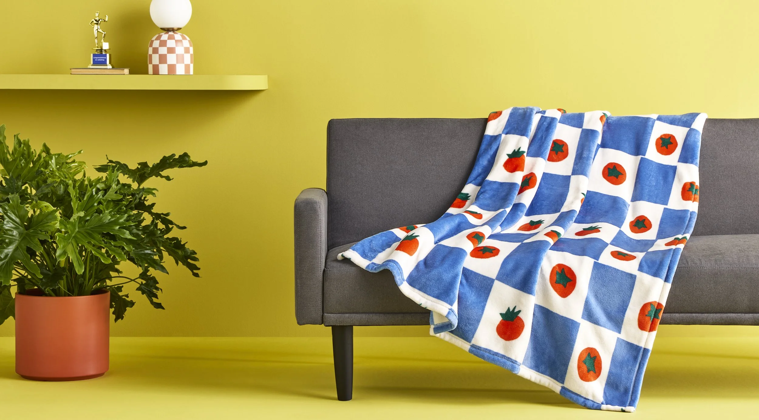 C-002447-01-072_067-10-0712_Printed_Tomato_Checkerboard_Plush_Throw_Blanket_Blue-Room_Essentials.jpg