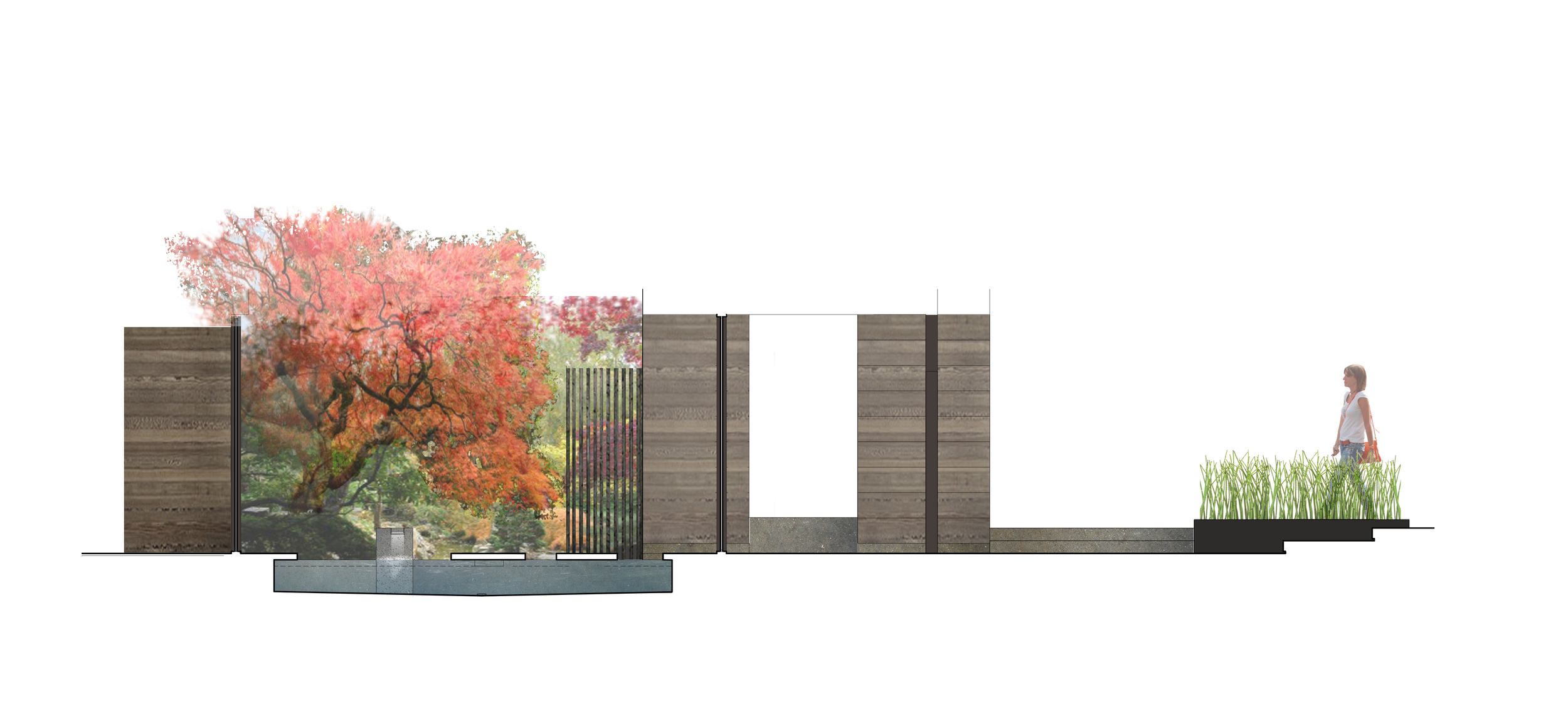 landscape section rendering