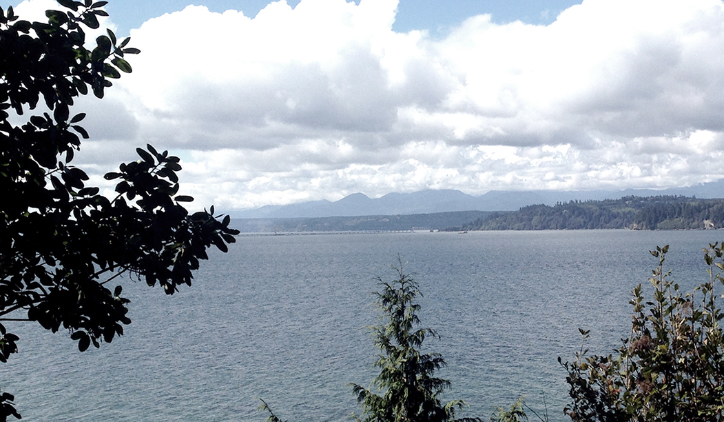 Hood Cliff Cabin site view