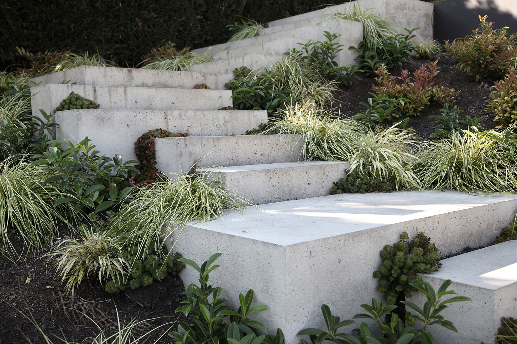 Laurelhurst Garden concrete steps