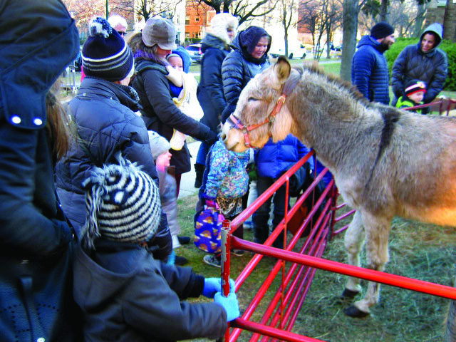 1.46 Nativity Donkey welcom.JPG