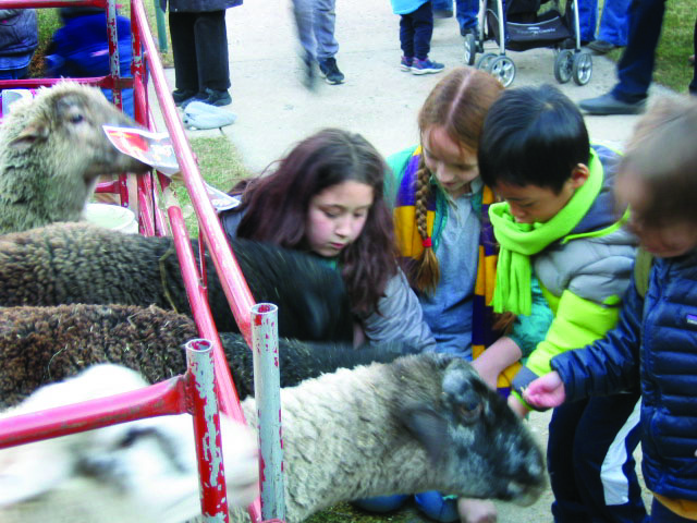 1.50 kids love sheep .JPG