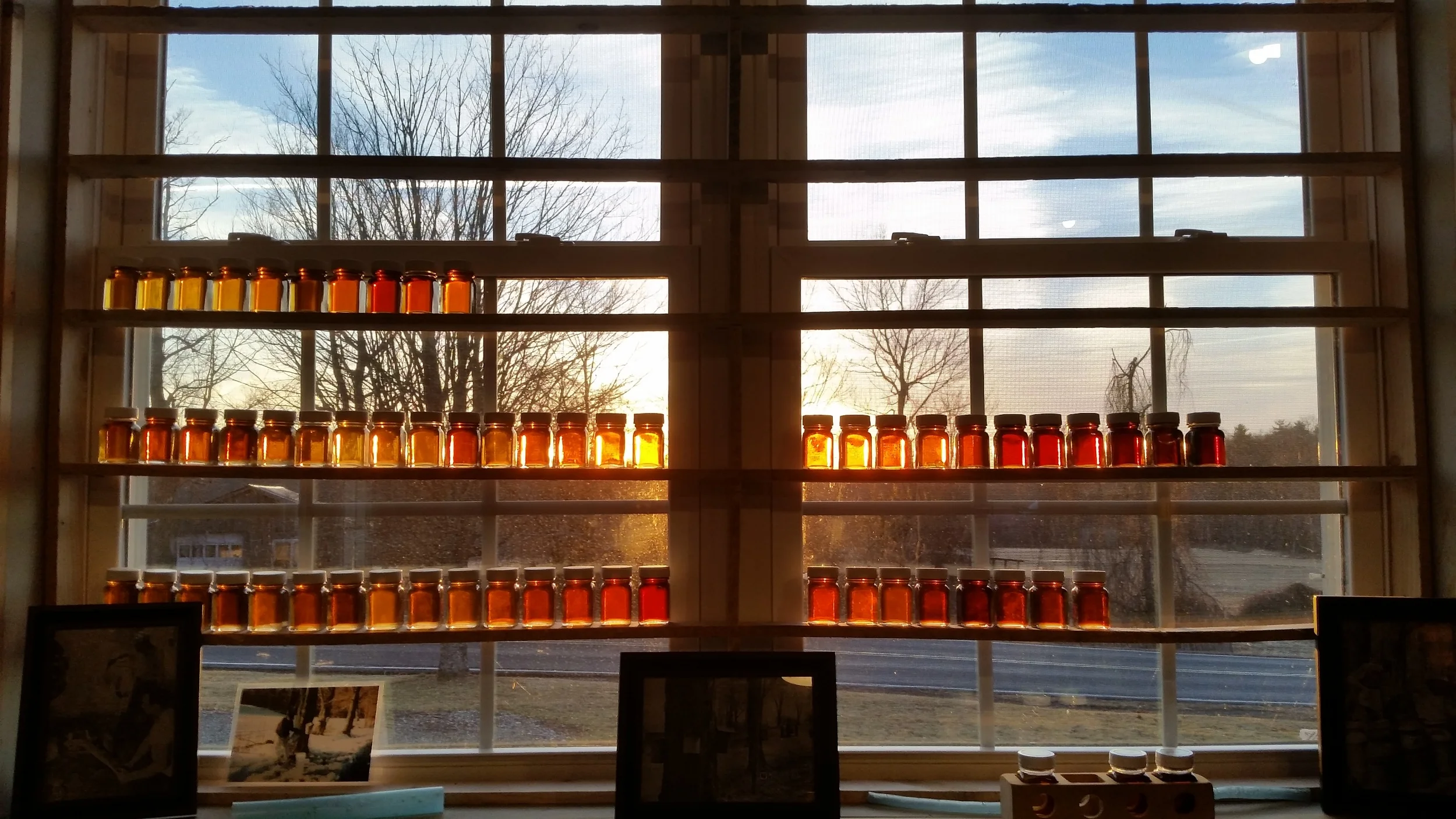 20160221_065350.jpg