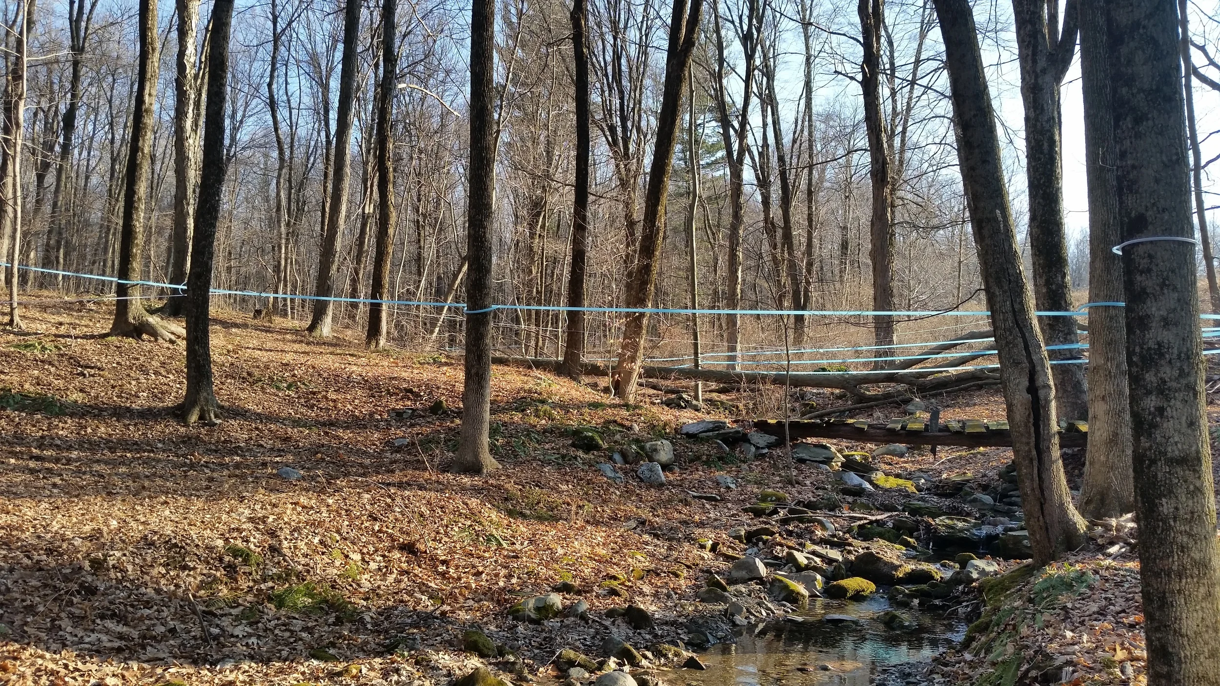 20160131_145537.jpg