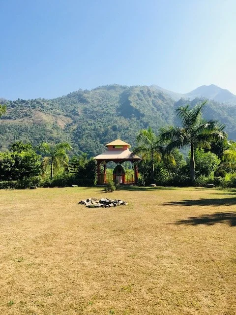 In 2016, I Married Myself