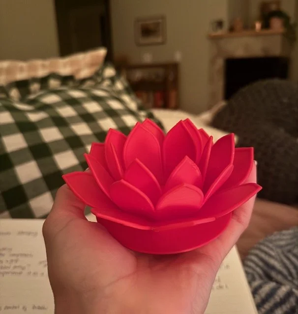 Blooming Through the Muck