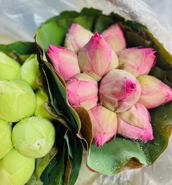 Under An Almost Full Moon