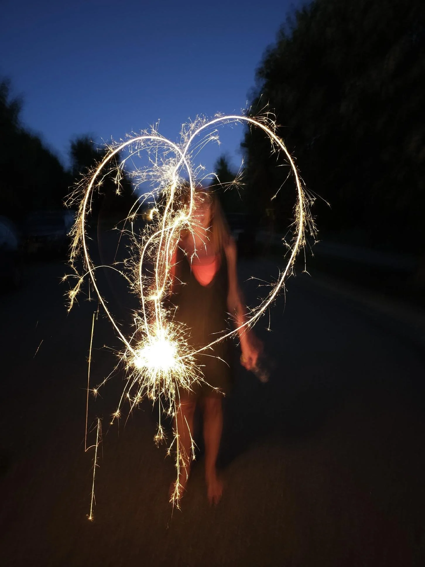 A Promise to the Wild Girl