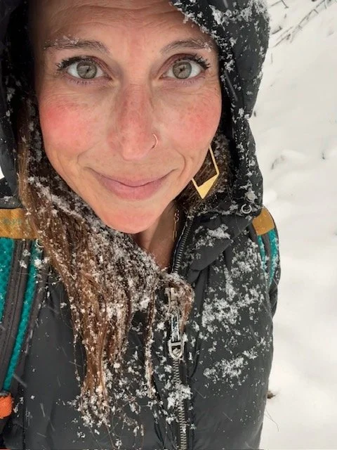 Into Winter, Into the Woods