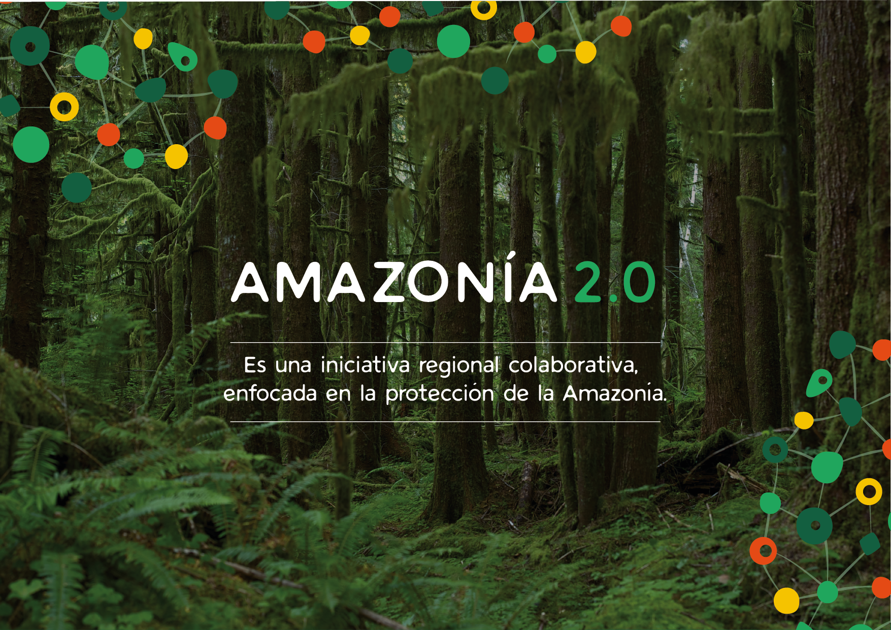 Amazonia2.0-behance-01.png