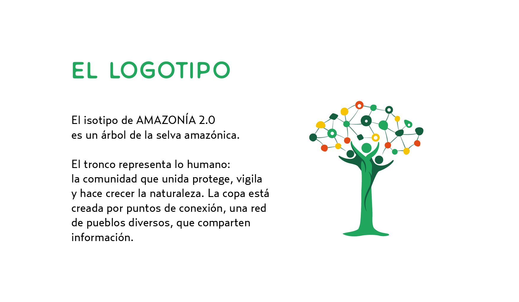 Amazonia2.0-behance-04-04.png