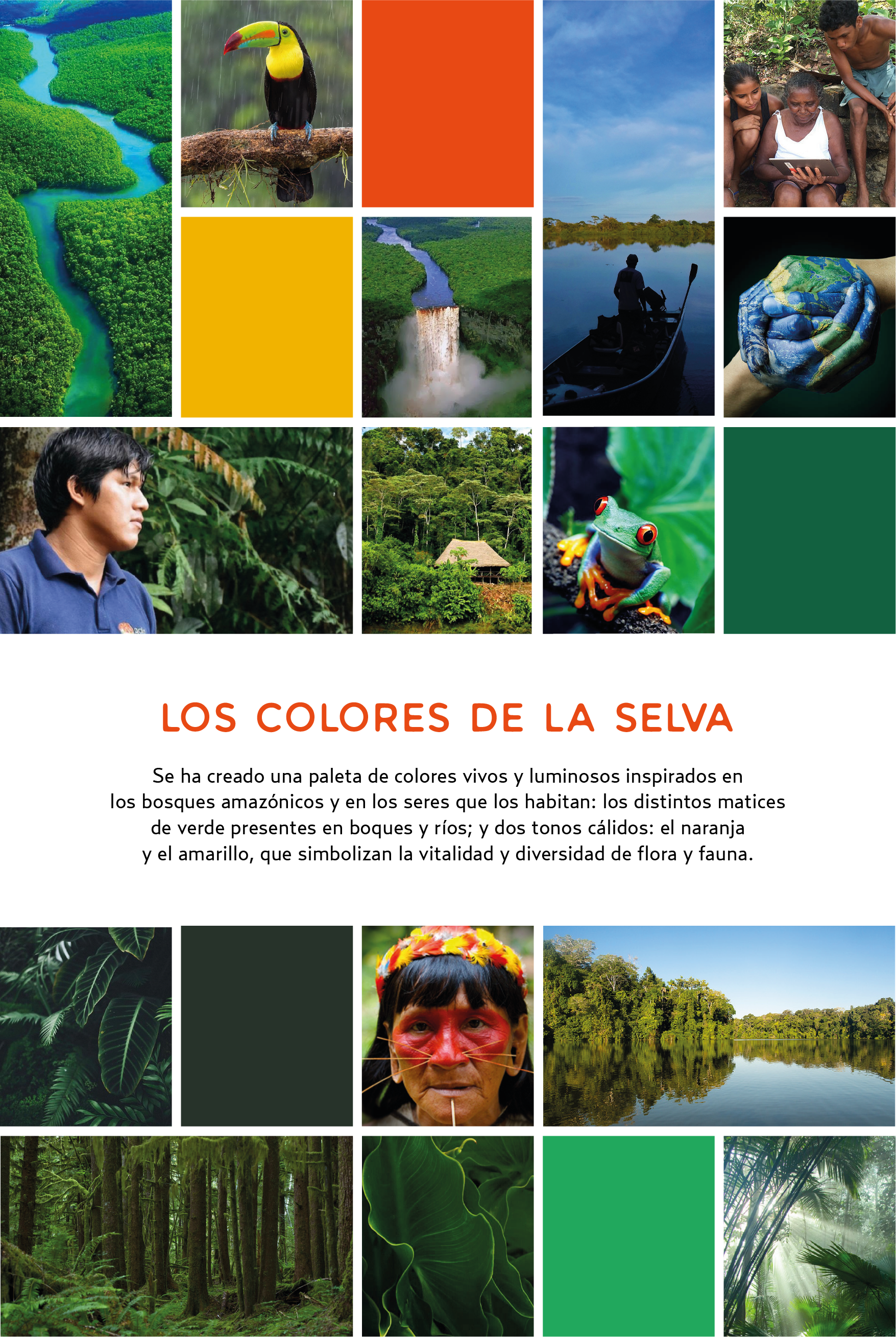 Amazonia2.0-behance-03.png