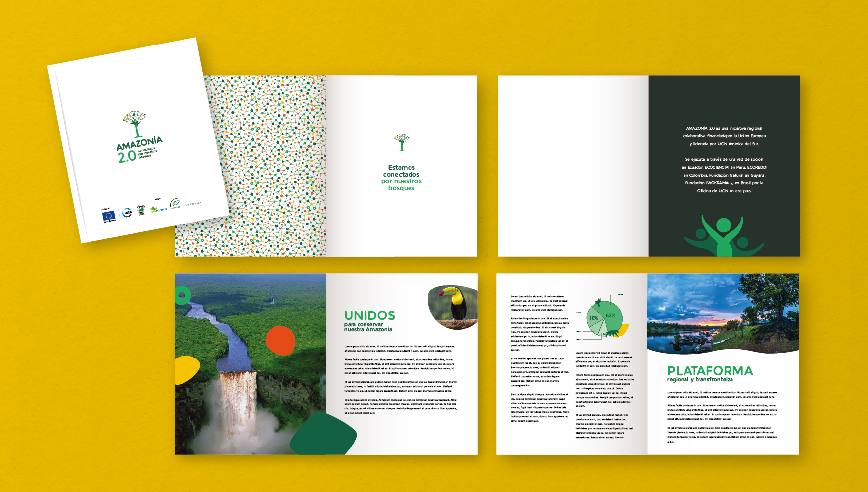 Amazonia2.0-behance-11-11.png