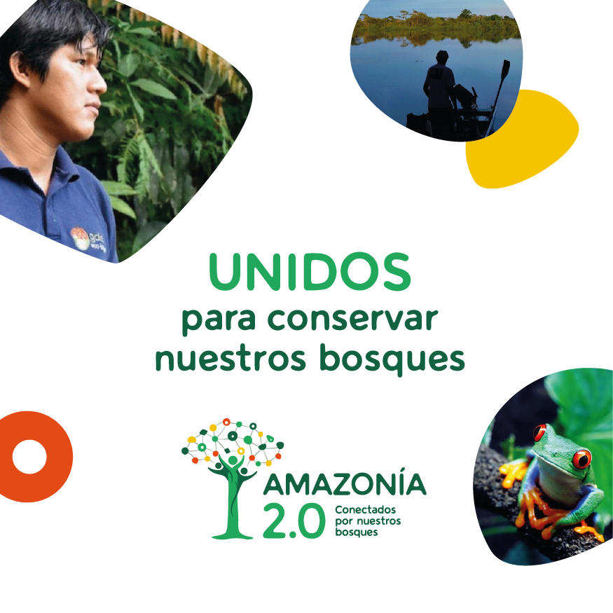 Amazonia2.0-behance-24.png